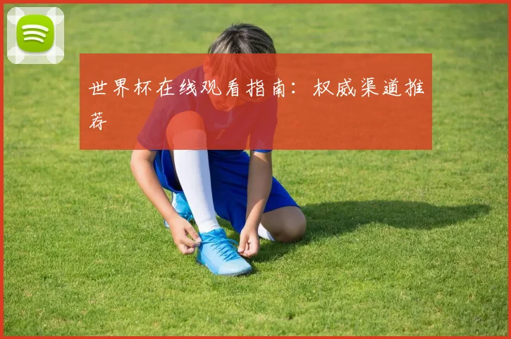 世界杯在线观看指南：权威渠道推荐