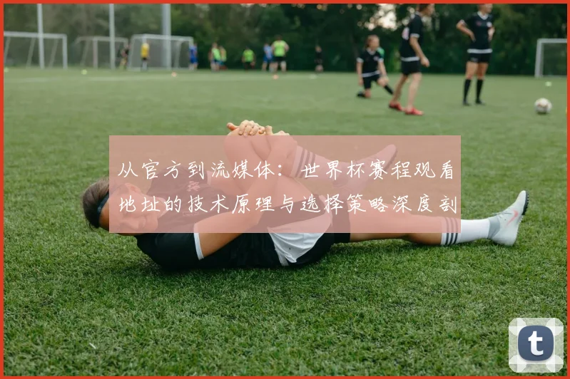 从官方到流媒体：世界杯赛程观看地址的技术原理与选择策略深度剖析