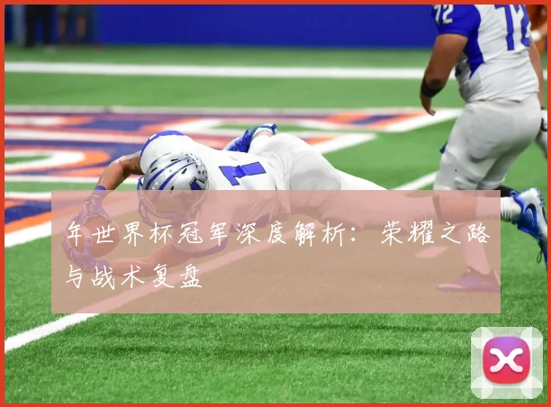 年世界杯冠军深度解析：荣耀之路与战术复盘