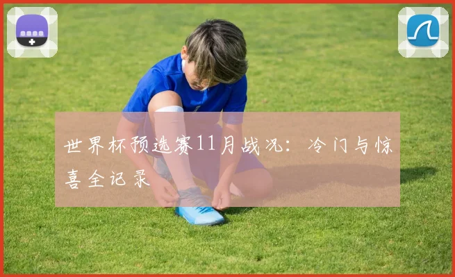 世界杯预选赛11月战况:冷门与惊喜全记录