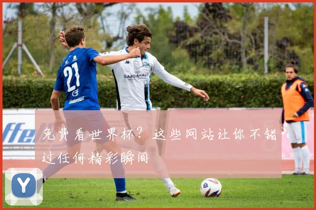免费看世界杯？这些网站让你不错过任何精彩瞬间