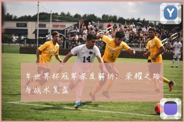 年世界杯冠军深度解析：荣耀之路与战术复盘