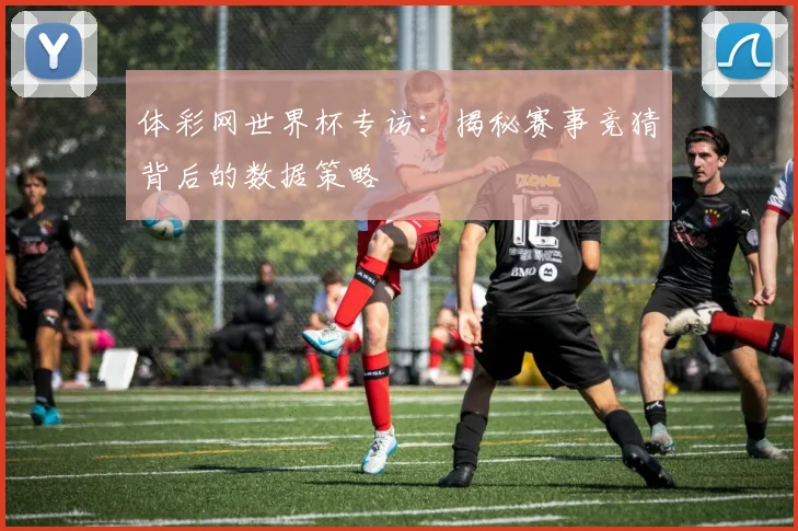 体彩网世界杯专访：揭秘赛事竞猜背后的数据策略