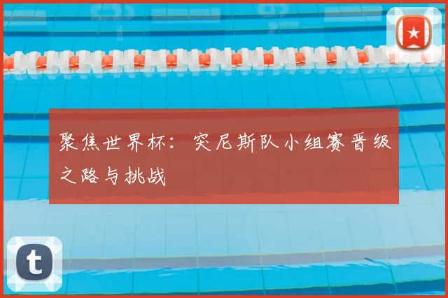 聚焦世界杯：突尼斯队小组赛晋级之路与挑战