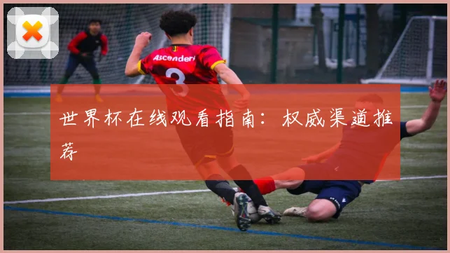 世界杯在线观看指南：权威渠道推荐