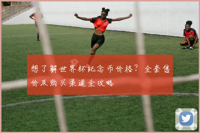 想了解世界杯纪念币价格？全套售价及购买渠道全攻略