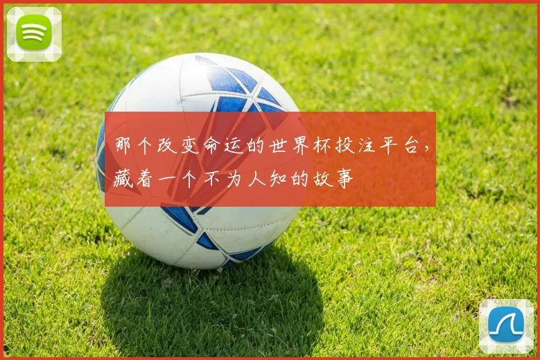 那个改变命运的世界杯投注平台，藏着一个不为人知的故事