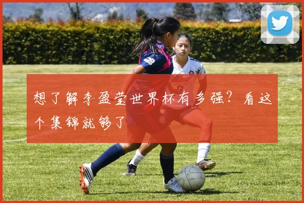 想了解李盈莹世界杯有多强？看这个集锦就够了