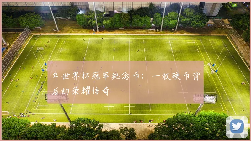 年世界杯冠军纪念币：一枚硬币背后的荣耀传奇