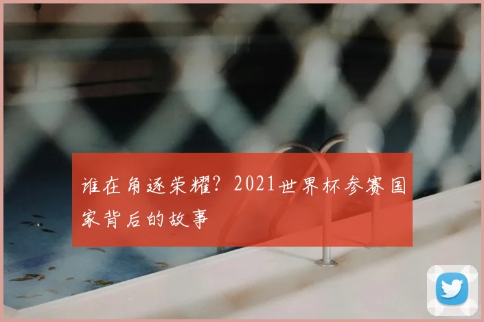 谁在角逐荣耀？2021世界杯参赛国家背后的故事
